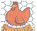 hen.jpg (22824 bytes)