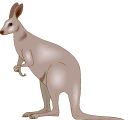 125kangaroo.jpg (2768 bytes)