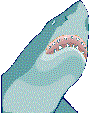 shark.gif (3575 bytes)